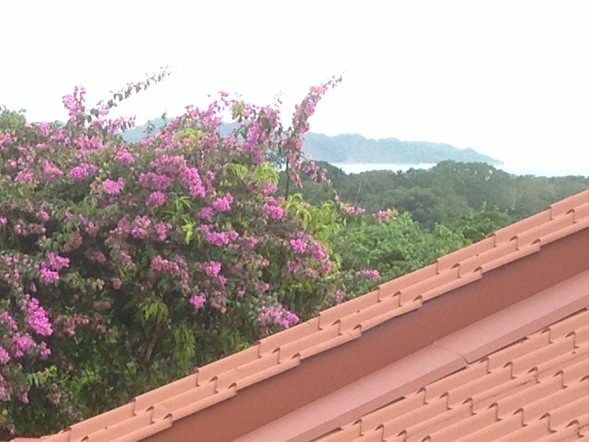 Villa Mango B&B Nosara Eksteriør bilde