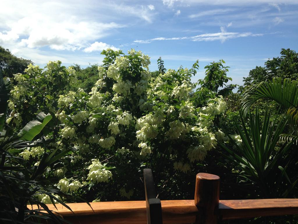 Villa Mango B&B Nosara Eksteriør bilde