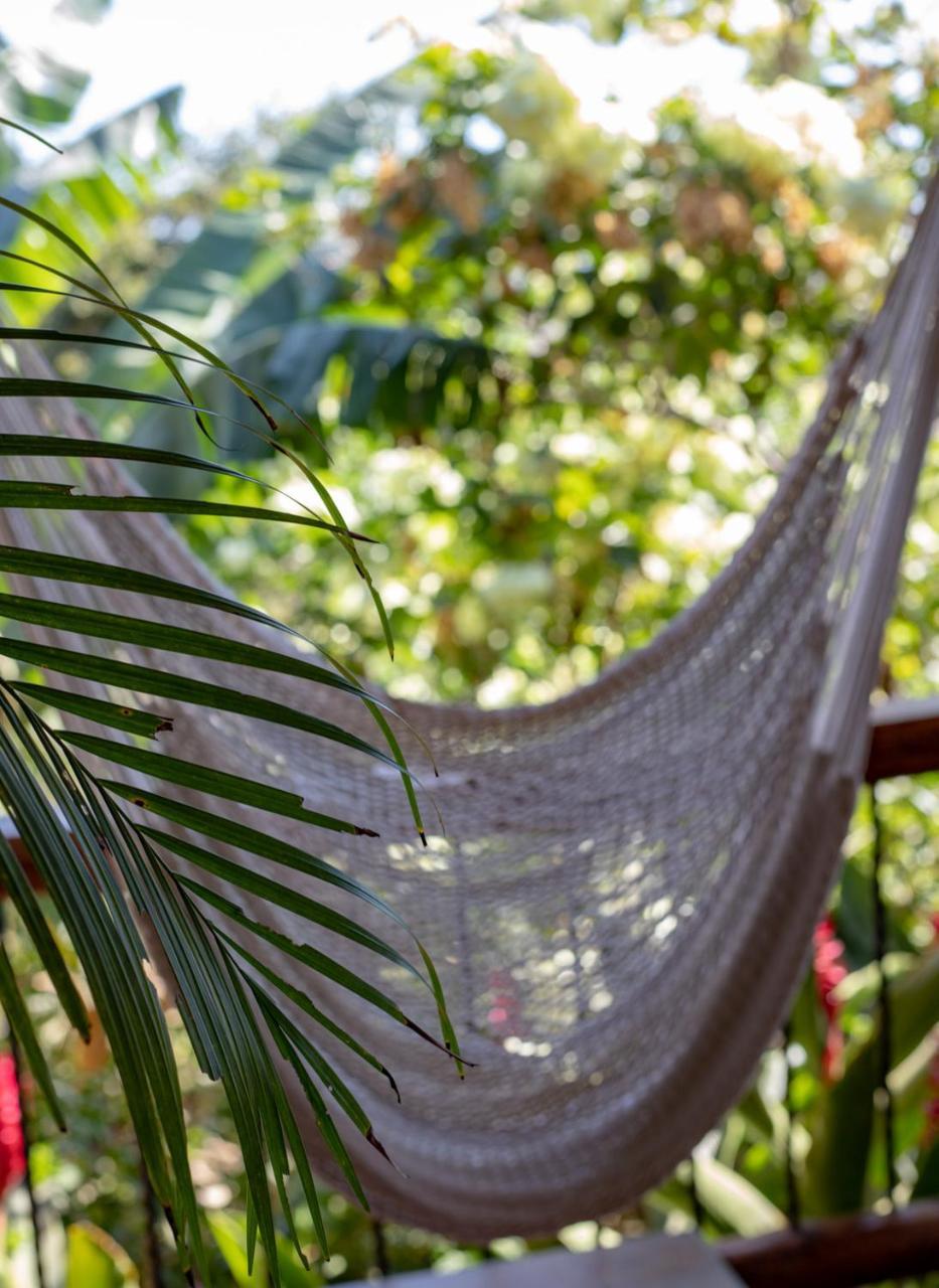 Villa Mango B&B Nosara Eksteriør bilde
