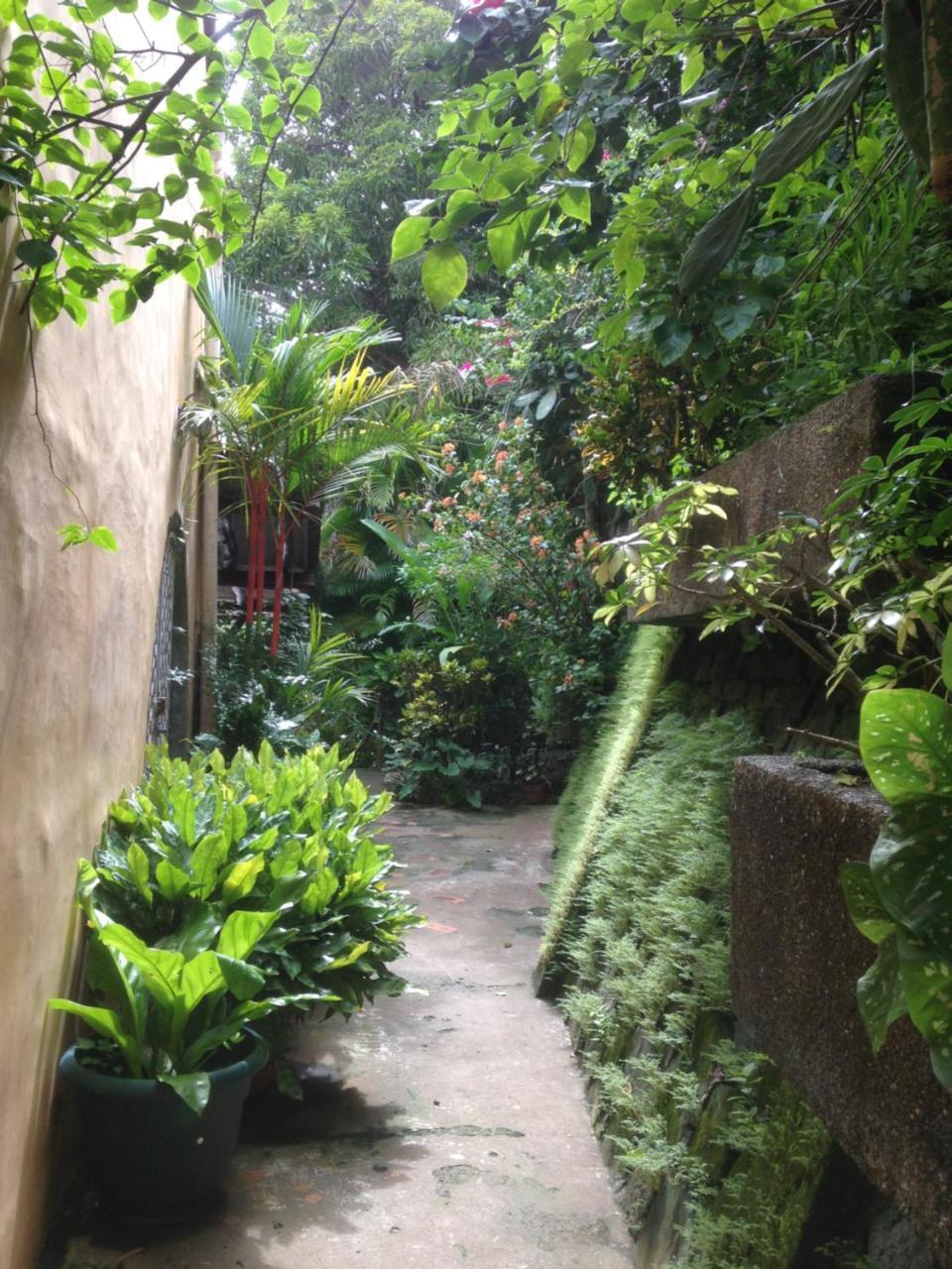 Villa Mango B&B Nosara Eksteriør bilde